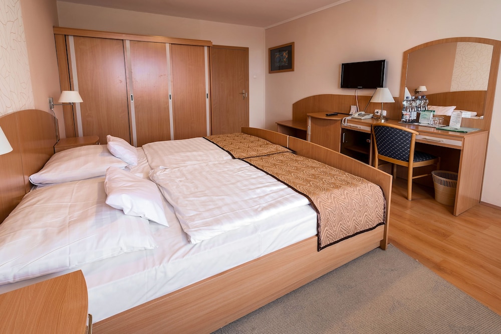 Hotel Barátság Hajdúszoboszló Superior — Hajduszoboszlo — photo 4