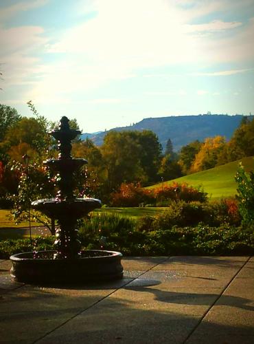 Resort at Eagle Point - photo 10
