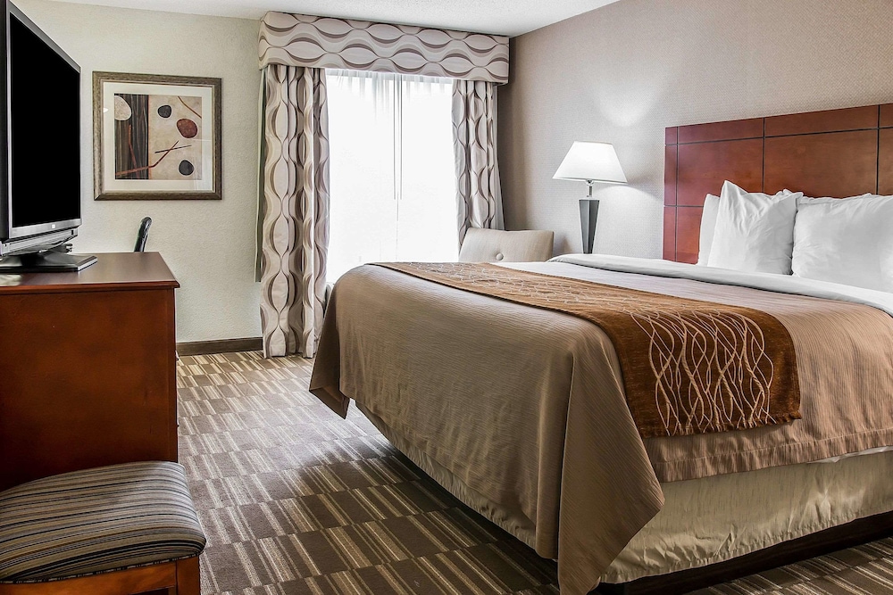 Spark by Hilton Ann Arbor South - photo 4