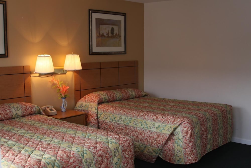 New Relax Inn - photo 8