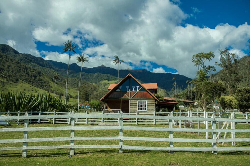 Palmas de Cocora in Salento, Colombia