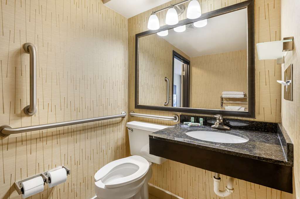 Best Western Chicago Downers Grove - photo 34