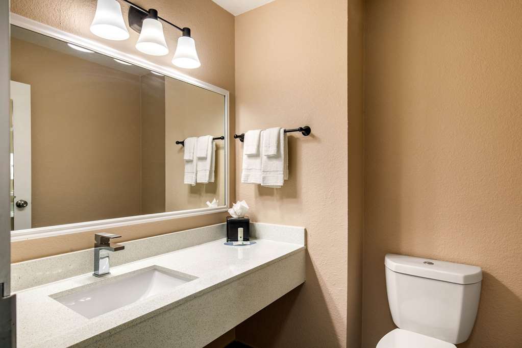 Quality Inn & Suites Plano East Richardson - photo 6