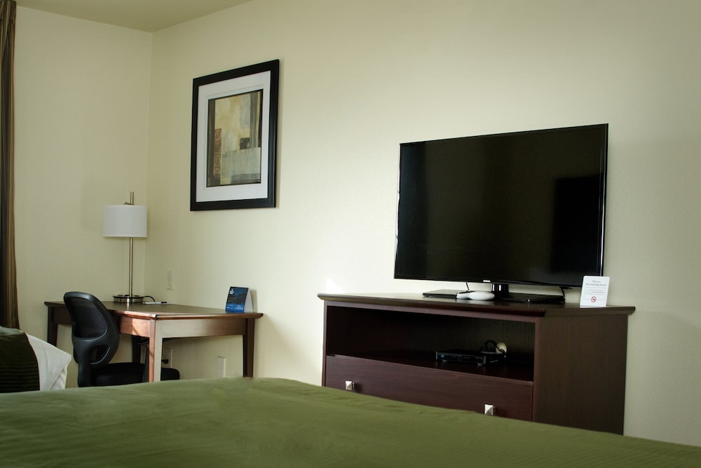 Cobblestone Inn & Suites Soda Springs - photo 18