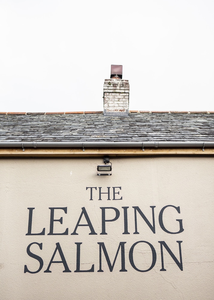 The Leaping Salmon Yelverton