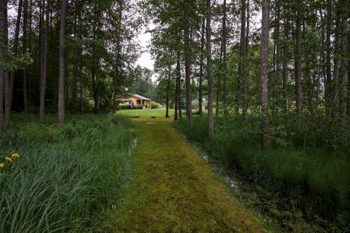 Ezerzemes — Ludza — photo 3