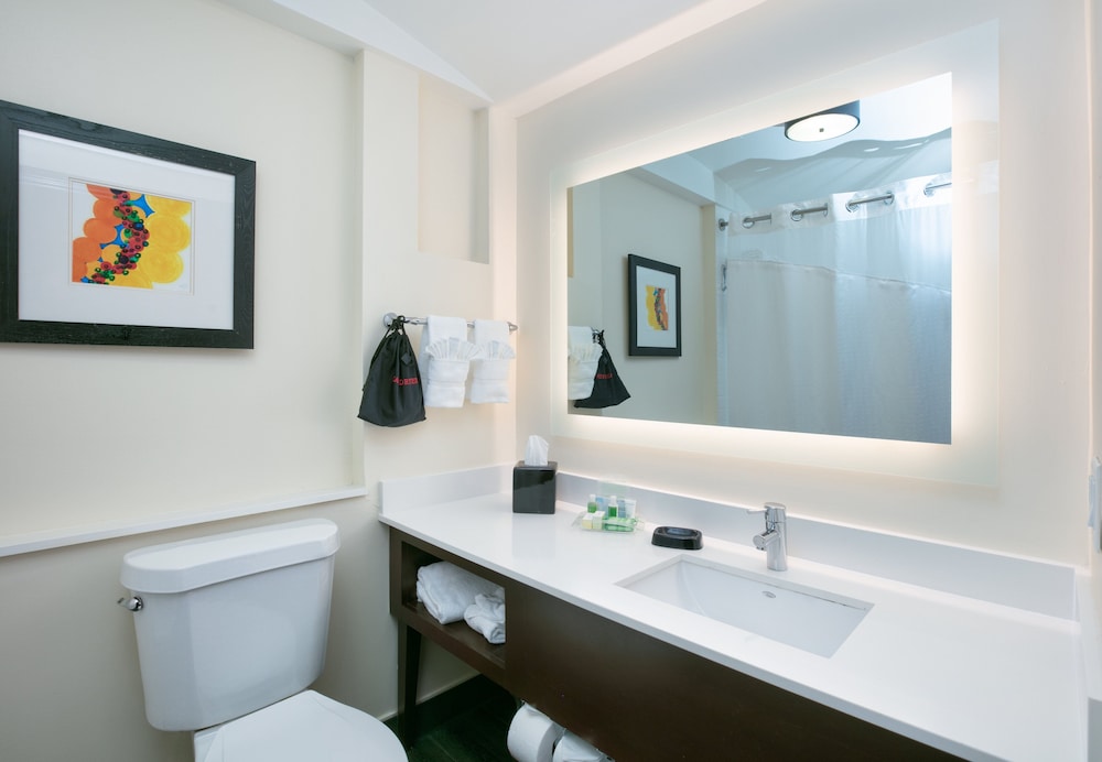 Holiday Inn Dfw South By Ihg - photo 25