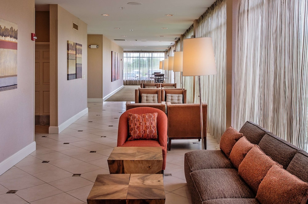 Hilton Garden Inn St. Louis Airport - photo 46