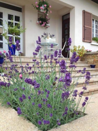 Les portes du vignoble — hotel in Nuits-Saint-Georges