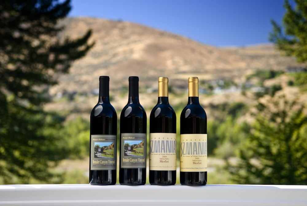 Warm Springs Inn & Winery - photo 65