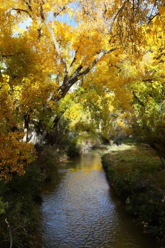 Canyon Of The Ancients Guest Ranch - photo 33