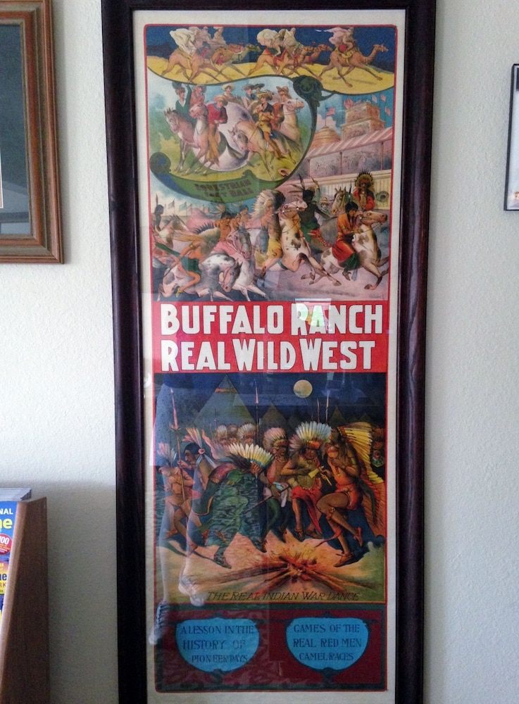 A Western Rose - photo 4