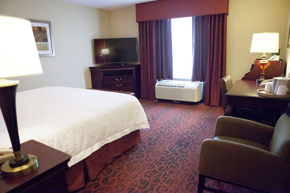 Hampton Inn Rochester Webster - photo 19