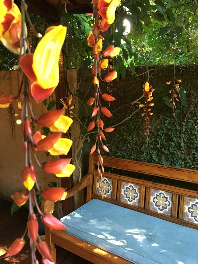 Aratinga inn — Angra Dos Reis — photo 2