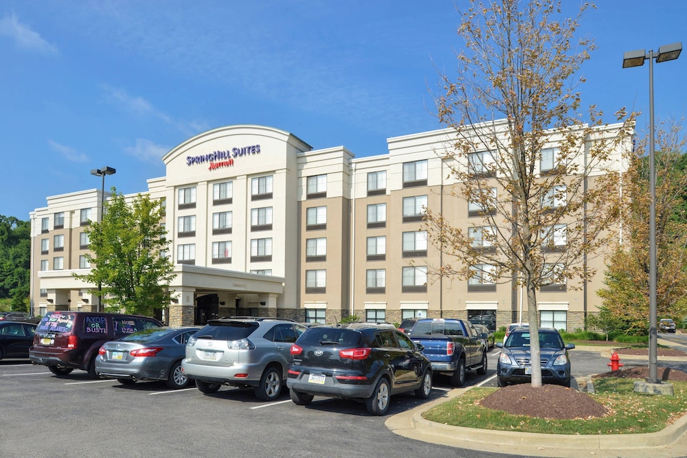 Springhill Suites by Marriott Pittsburgh Mills - photo 25