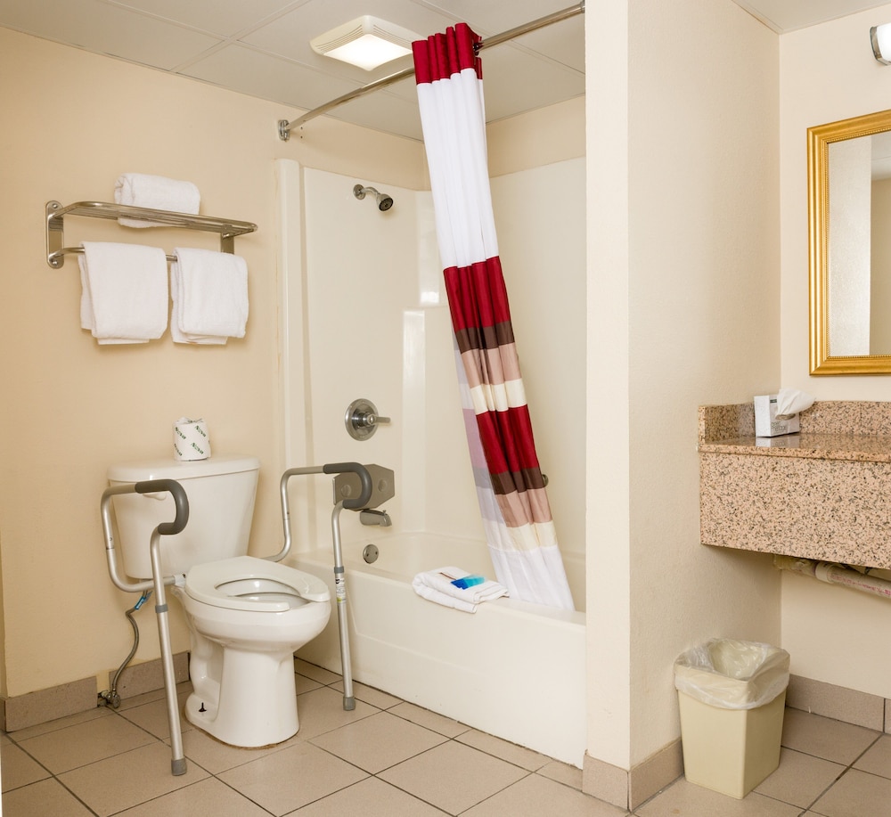 Red Roof Inn & Suites Pigeon Forge Parkway - photo 25