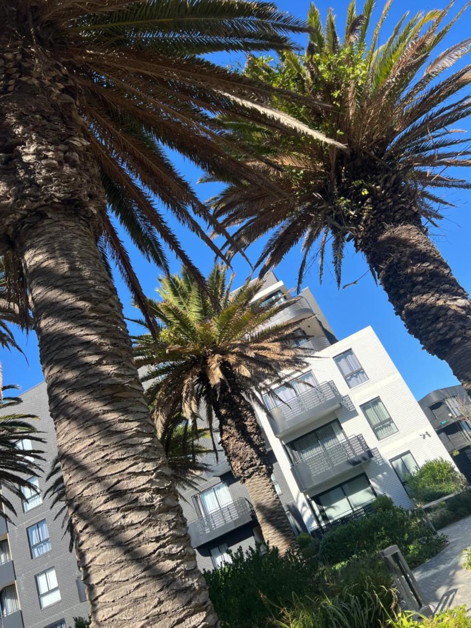 Nine Palms Studio Unit Block 2 - carbon neutral hotel in Cape Town