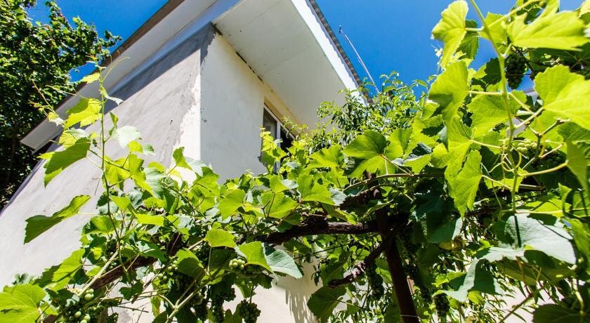 Kulinar - carbon neutral hotel in Sochi