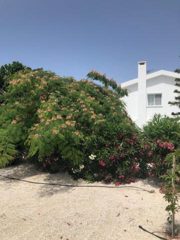 Villa Olivia Coral Bay