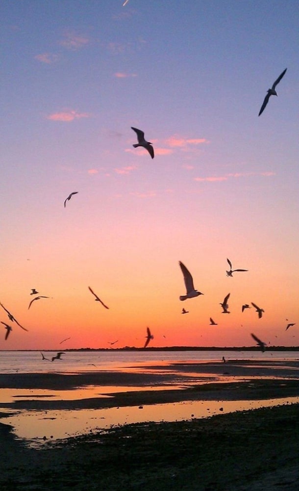 Hotel Tybee - photo 58