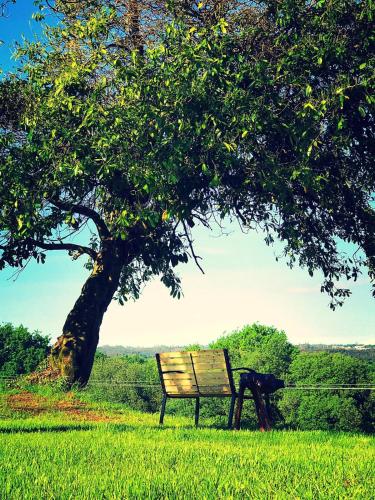 Campamento Turistico Brandonas — Zas