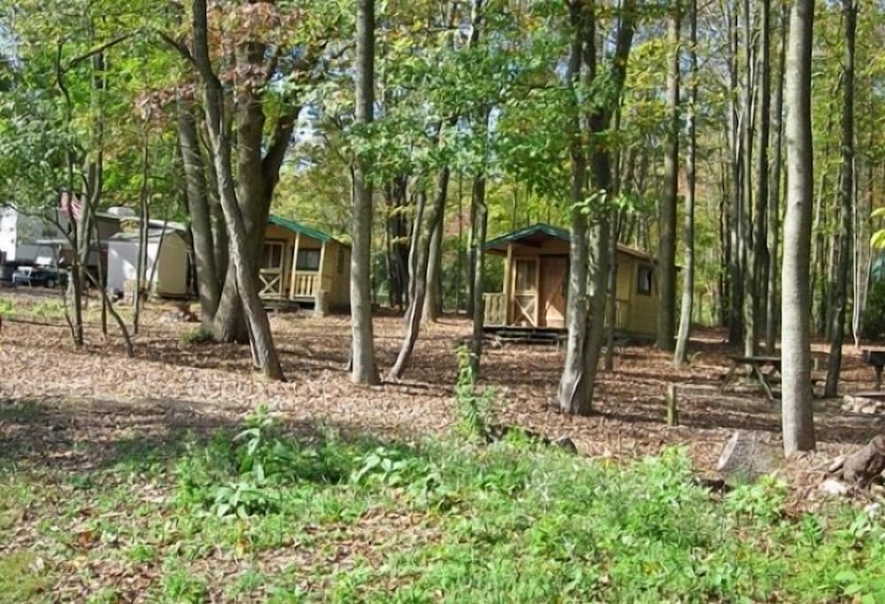 Appalachian Campsites - photo 69