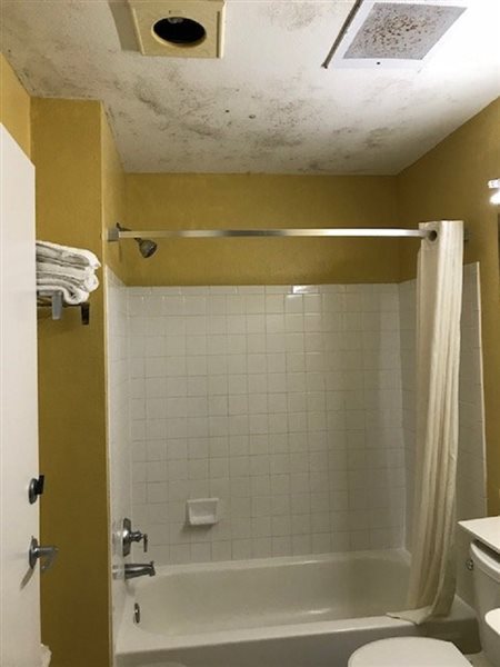 Microtel Inn & Suites by Wyndham Baton Rouge - photo 9