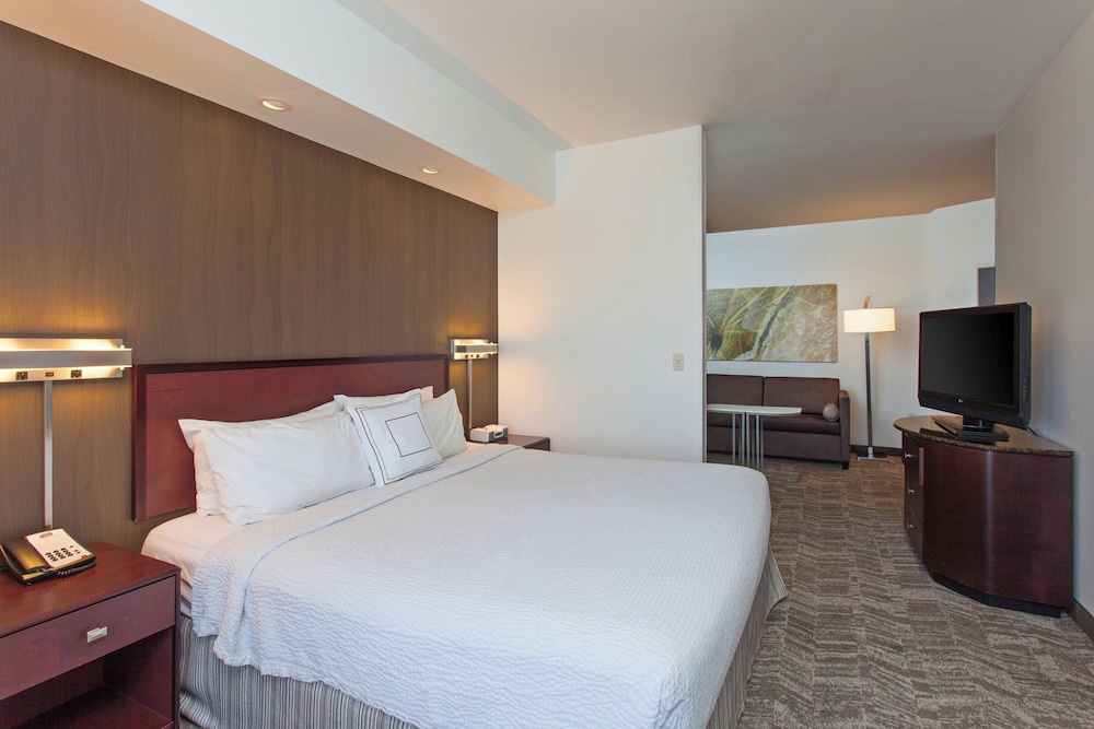 SpringHill Suites by Marriott El Paso - photo 5