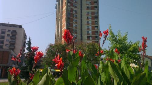 Hotel Konaciste Trstenik pet-friendly hotel Trstenik