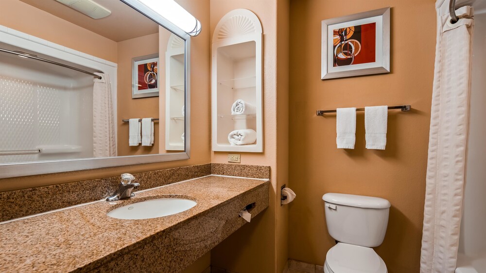 Best Western Plus The Woodlands - photo 12