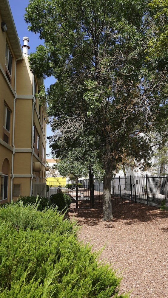 Days Inn & Suites by Wyndham Airport Albuquerque - photo 44