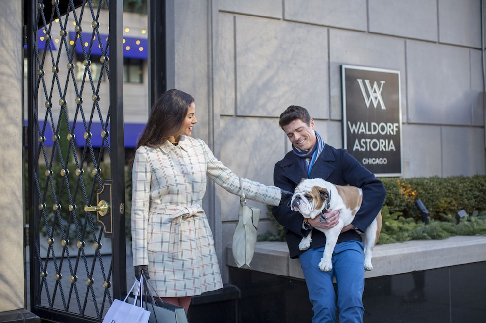 Waldorf Astoria Chicago - photo 132
