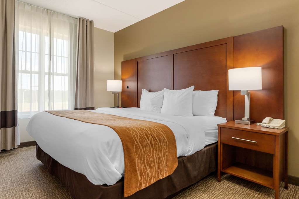 Comfort Inn & Suites Cordele - photo 21