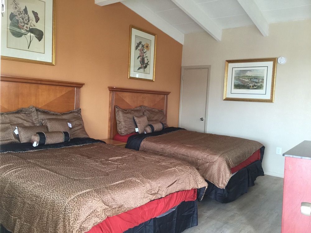Pelican Inn and Suites - photo 9