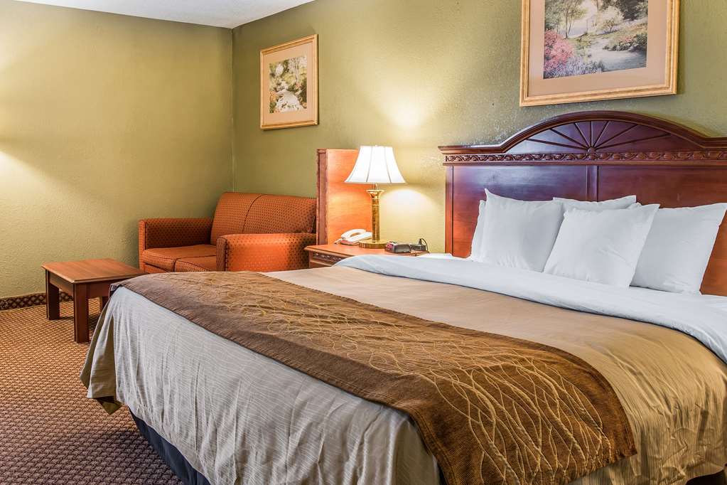 Quality Inn & Suites Ann Arbor Hwy 23 - photo 16