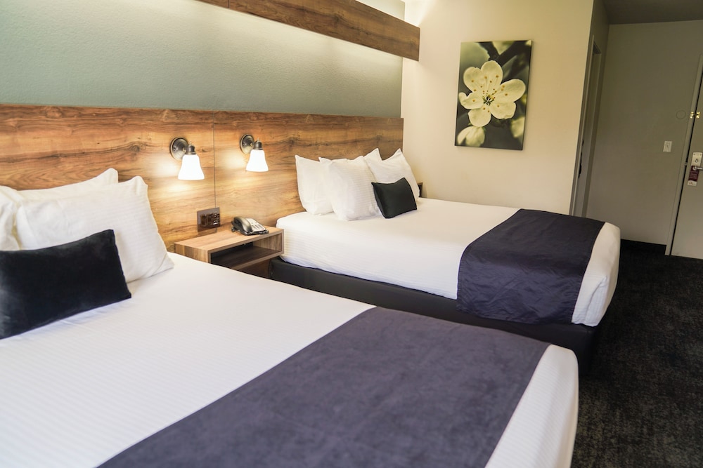 Hotel Ruby Ponderay Sandpoint - photo 23