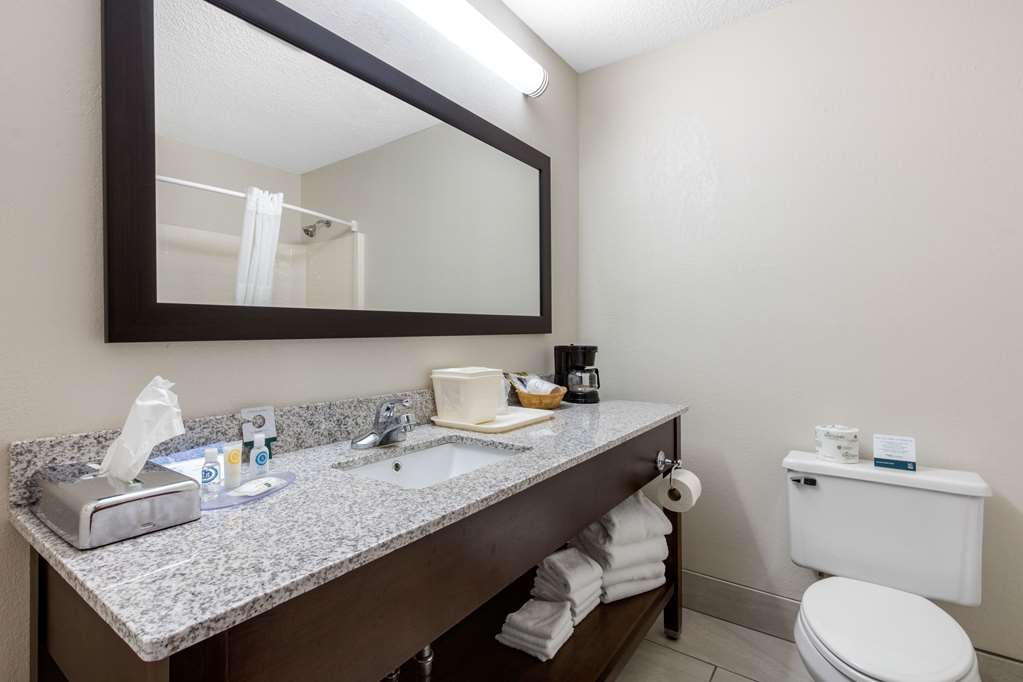 Quality Inn & Suites Mountain Home North - photo 28