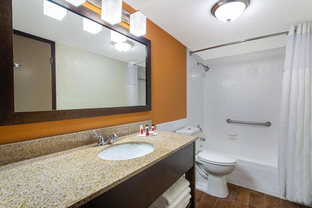 Ramada by Wyndham Tampa Westshore Airport South - photo 30