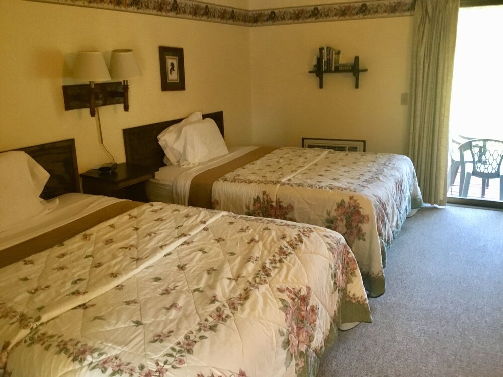 Edelweiss Motel - photo 20