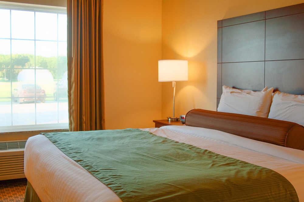 Cobblestone Inn & Suites Winterset IA - photo 28
