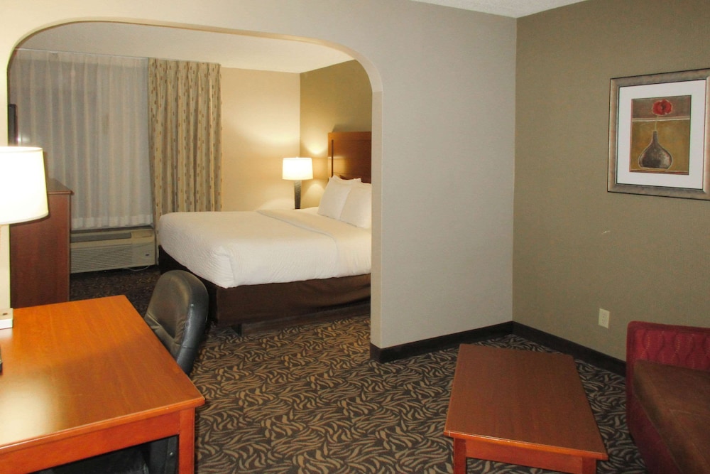 Clarion Inn & Suites Cortland University Area - photo 13