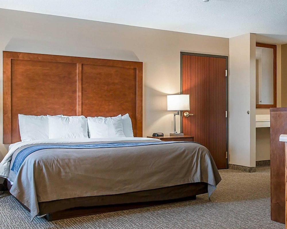 Bluffton Inn & Suites By IHG - photo 6
