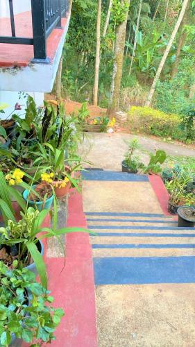 Green Heaven — Kandy — photo 2