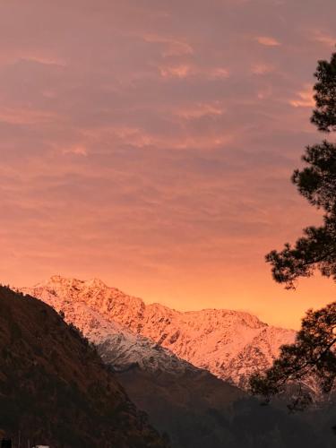 North Deodar Camps — Kulu — photo 2