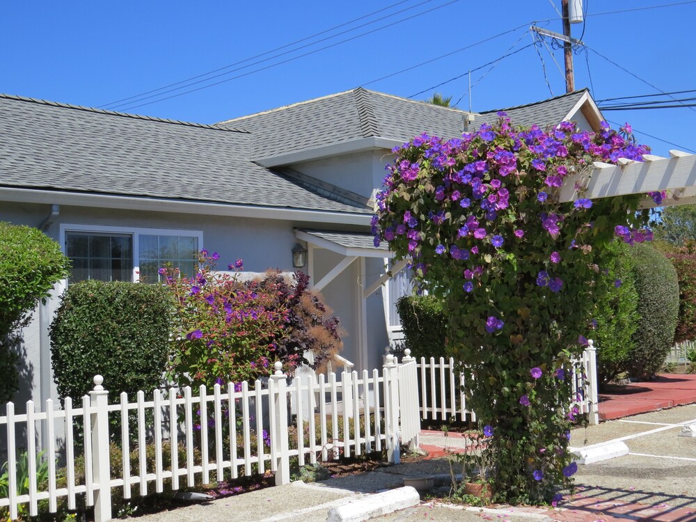 Harbor Inn - photo 17