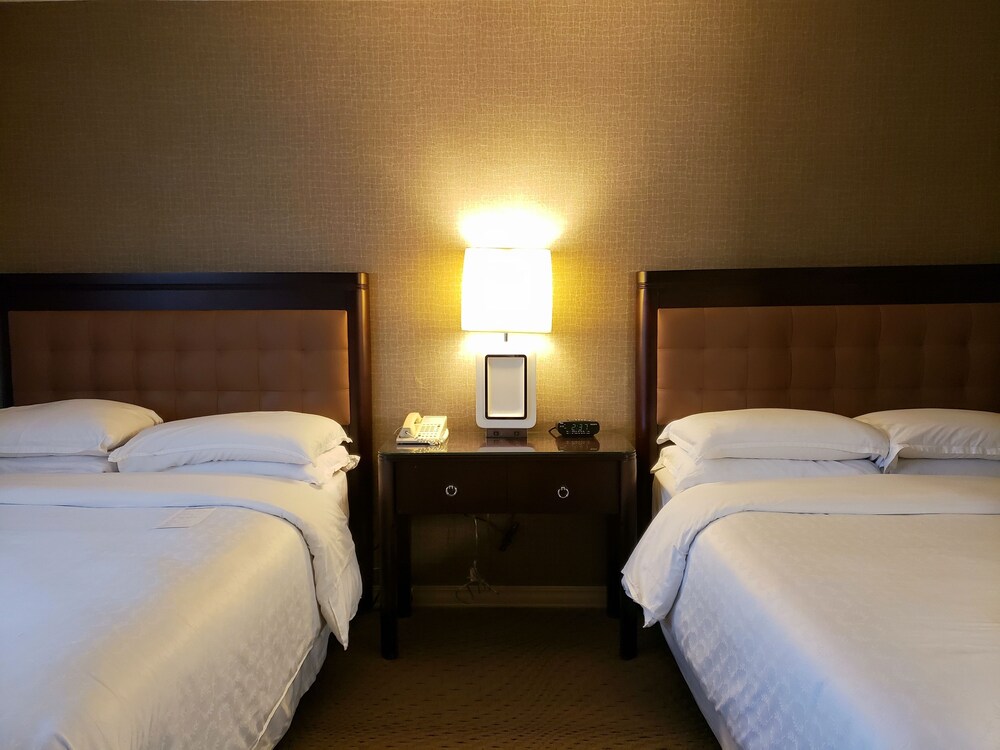 Sheraton Ontario Airport Hotel - photo 11