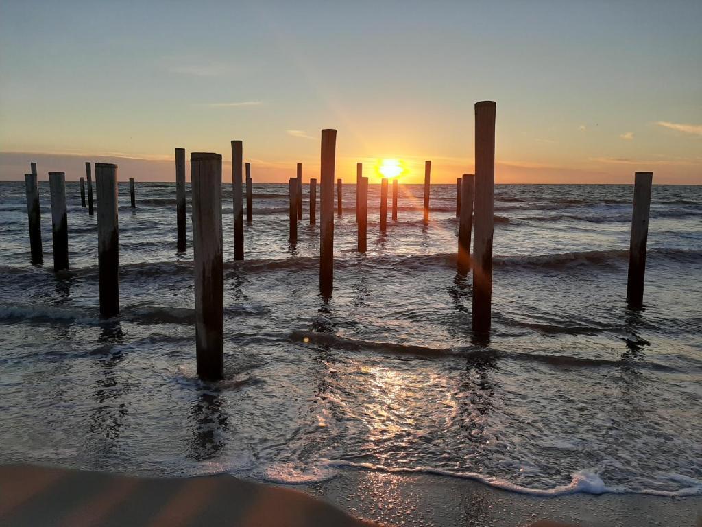 Boshuisje Petten Aan Zee — Petten