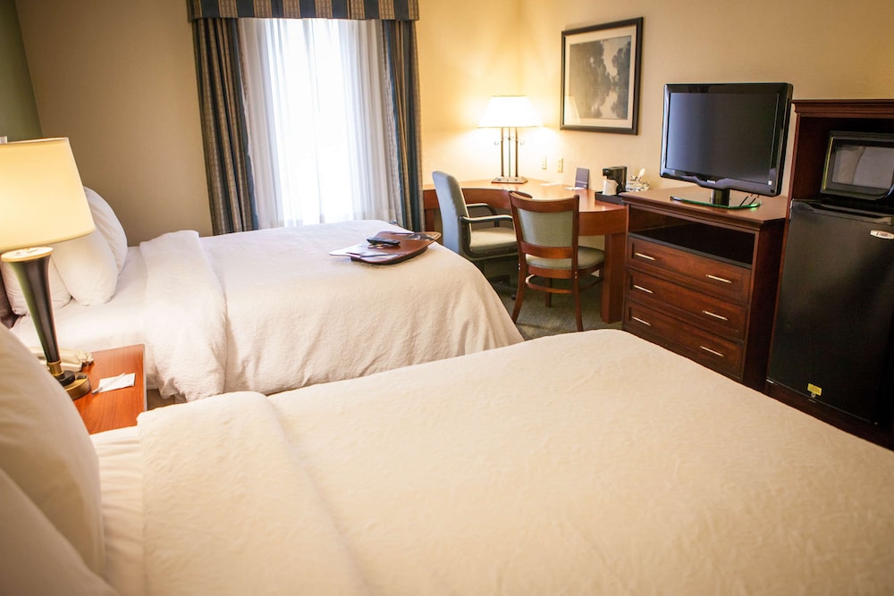Hampton Inn & Suites Springfield Southwest - photo 8