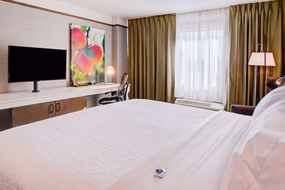 Hilton Garden Inn Detroit Southfield MI - photo 14