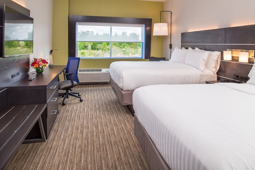 Holiday Inn Express & Suites Tampa North Wesley Chapel by IHG - photo 4